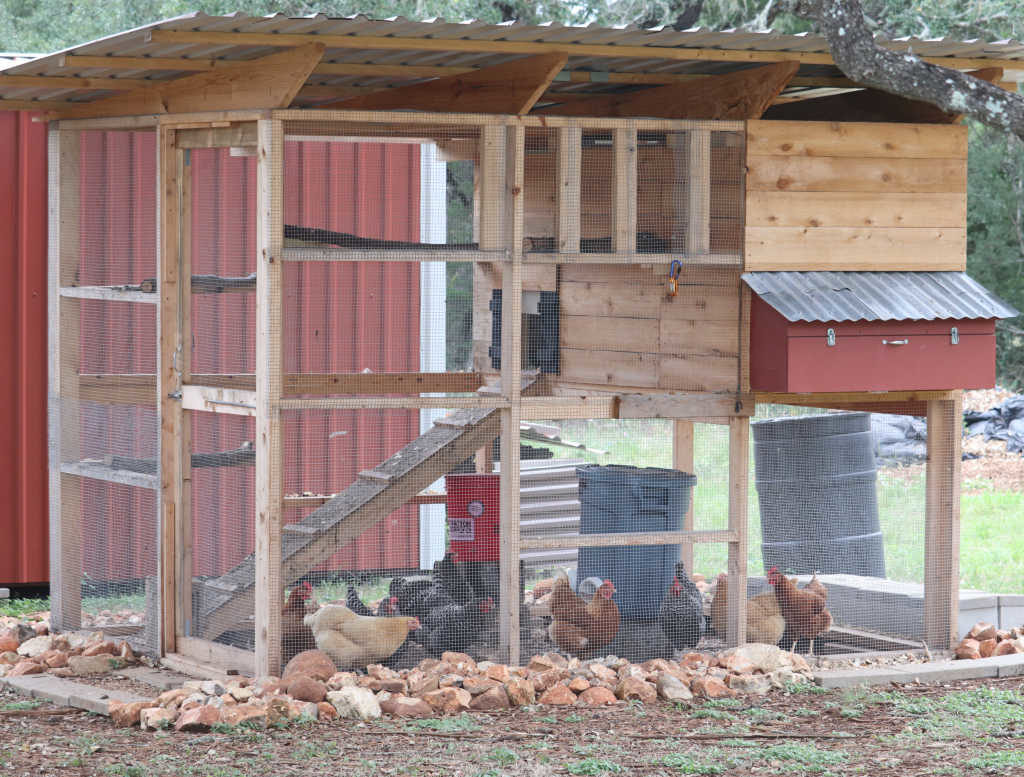 Chicken Coop with egg box tin roof hen house and red barn
