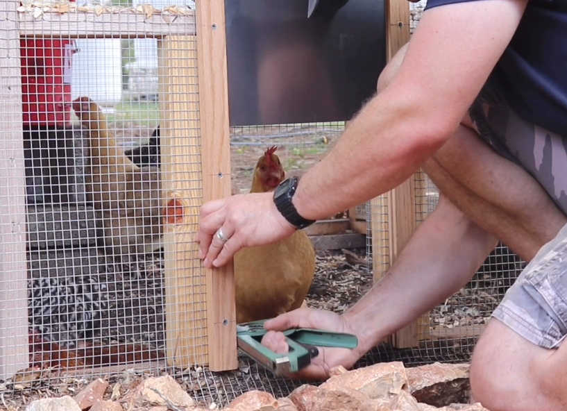 Chicken coop automatic door opener side frames 
