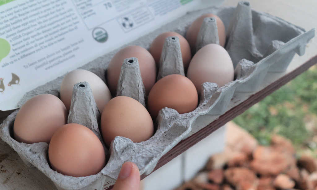 Free Range Eggs in recycled egg carton