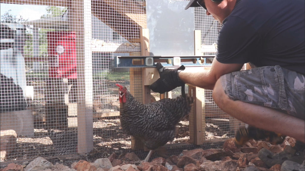 Automatic Chicken Coop Door Opener • THE BLUEBONNET HOMESTEAD