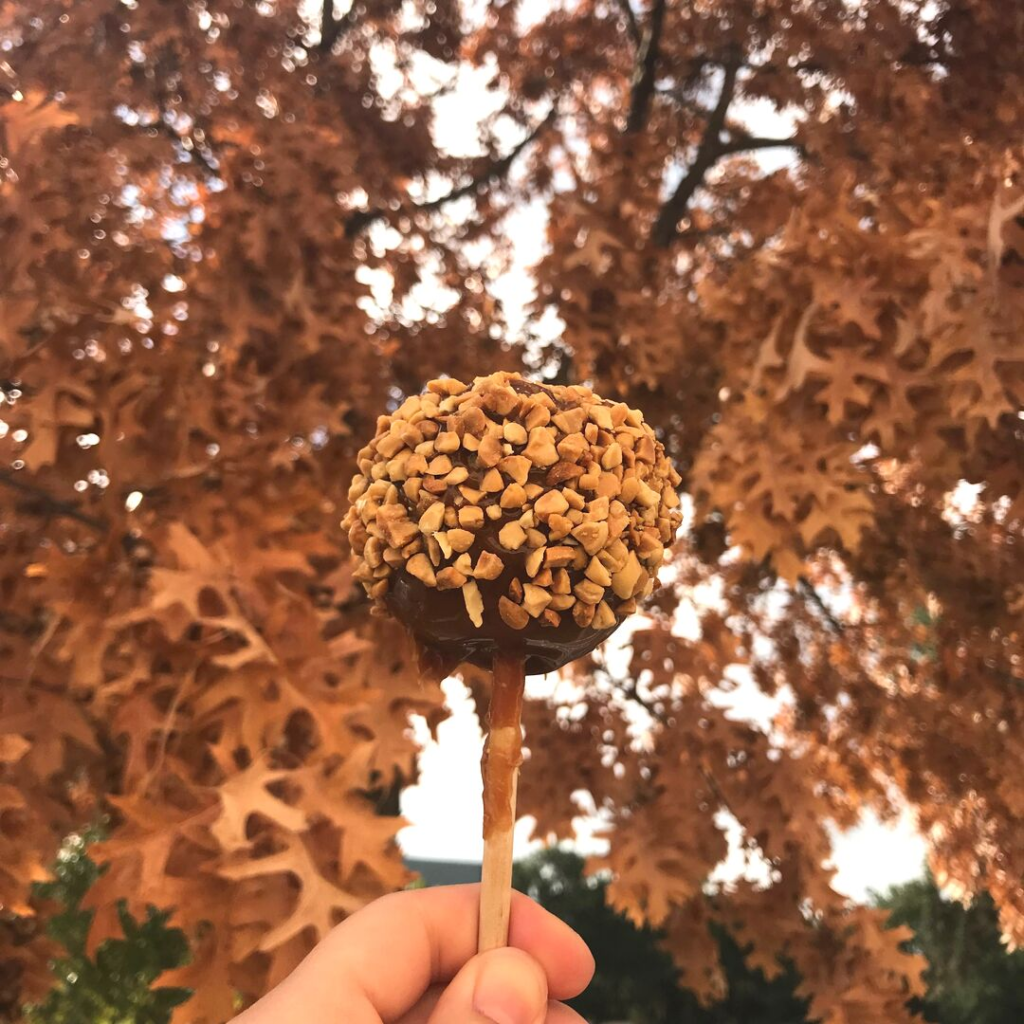 Caramel Apple with fall leaves