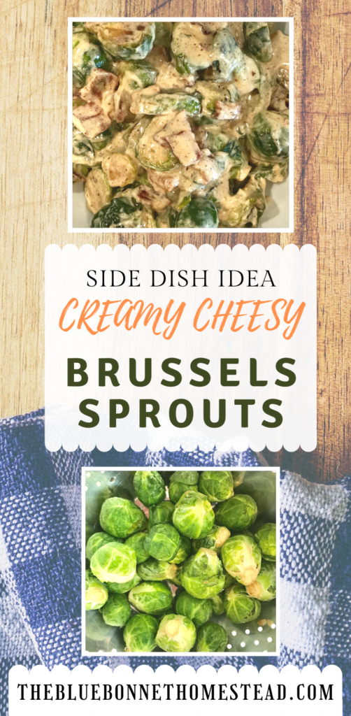 creamy cheesy brussels sprouts side dish idea