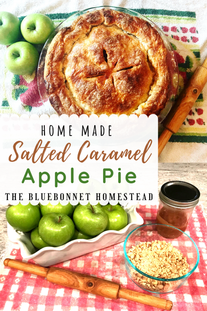 Salted Caramel Apple Pie Pin