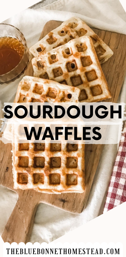 Sourdough Waffles Pin