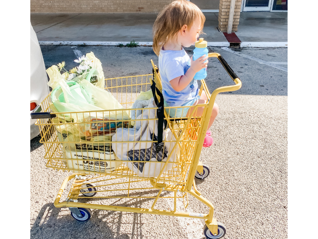 toddler in cart at Dollar General