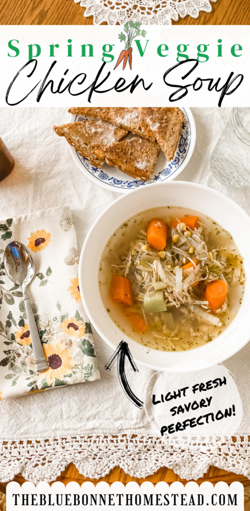 Spring Veggie chicken soup on Pinterest