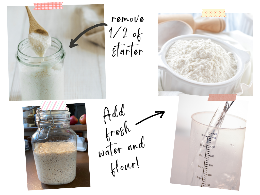 How to make and maintain sourdough starter