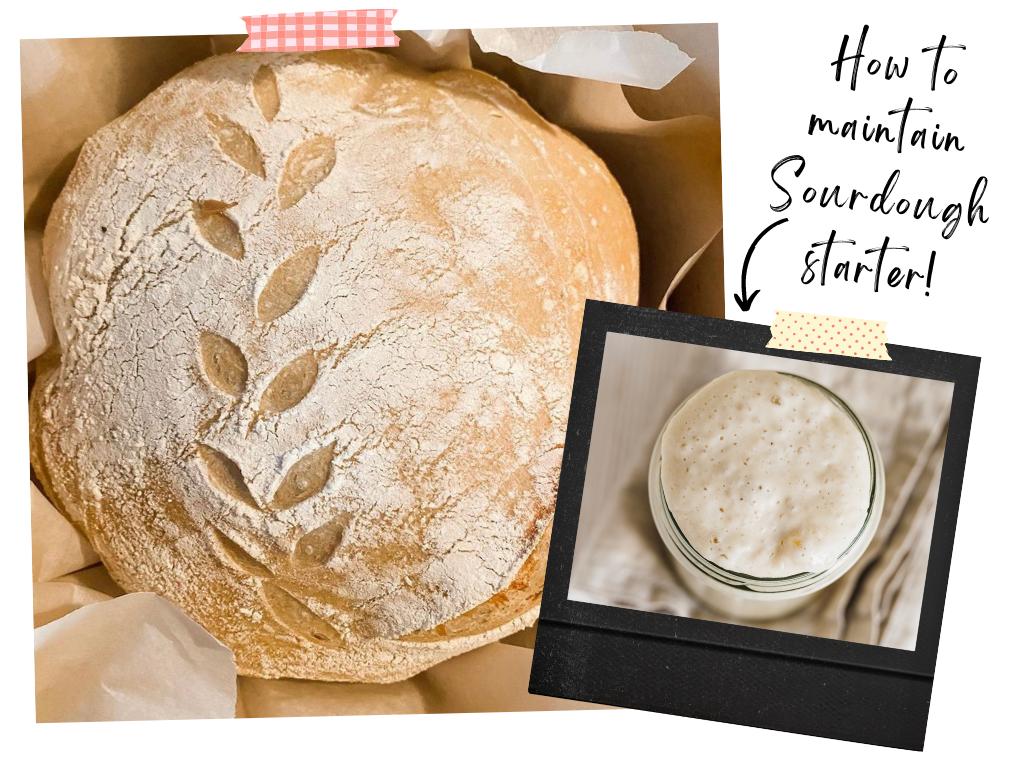 How To Create and Maintain Small Batch Sourdough Starter