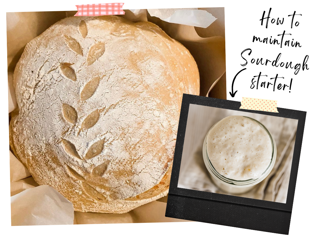 Maintaining a Sourdough Starter